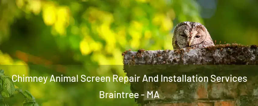  Chimney Animal Screen Repair And Installation Services Braintree - MA