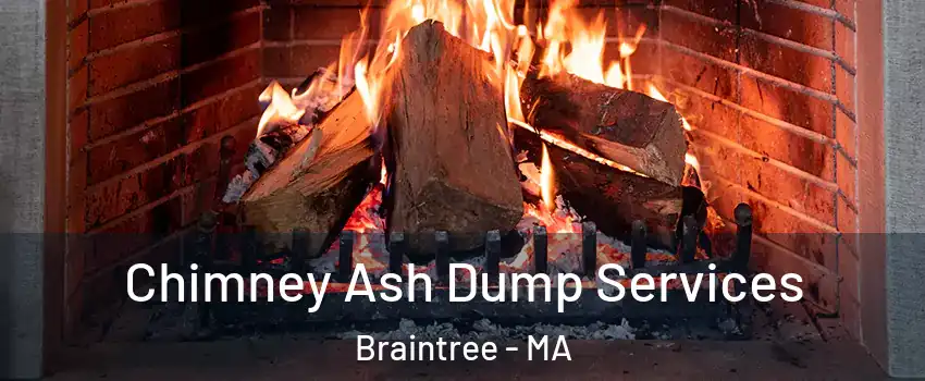  Chimney Ash Dump Services Braintree - MA