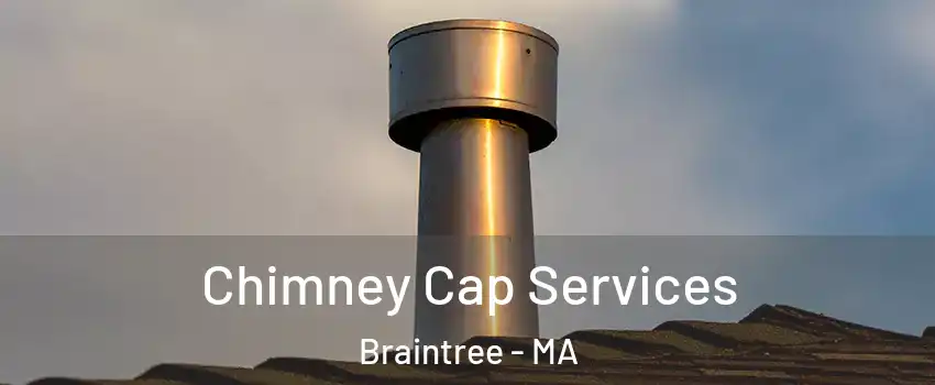  Chimney Cap Services Braintree - MA