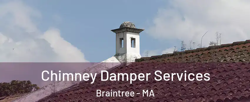  Chimney Damper Services Braintree - MA