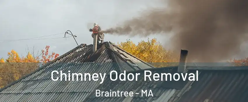  Chimney Odor Removal Braintree - MA