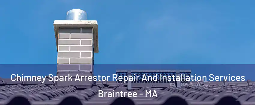  Chimney Spark Arrestor Repair And Installation Services Braintree - MA