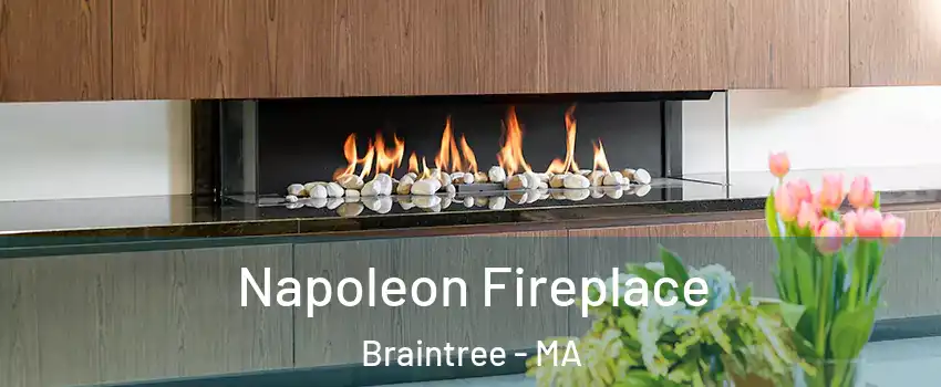  Napoleon Fireplace Braintree - MA